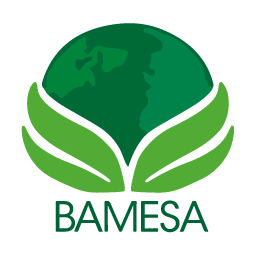 Bamesa Energía