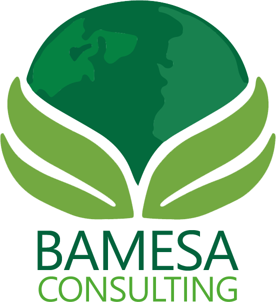 Bamesa Energía